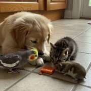 ヒメ日記 2025/06/28 20:42 投稿 もな 美熟女倶楽部Hip's 春日部店