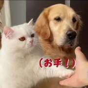 ヒメ日記 2025/07/05 14:08 投稿 もな 美熟女倶楽部Hip's 春日部店