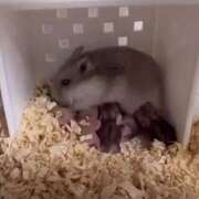 ヒメ日記 2025/08/16 20:44 投稿 もな 美熟女倶楽部Hip's 春日部店