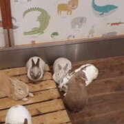 ヒメ日記 2025/09/20 12:24 投稿 もな 美熟女倶楽部Hip's 春日部店