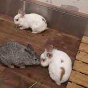 ヒメ日記 2025/09/21 15:19 投稿 もな 美熟女倶楽部Hip's 春日部店