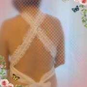 ヒメ日記 2025/03/24 08:46 投稿 中本 麗子 こあくまな熟女たち小倉店（KOAKUMAグループ）