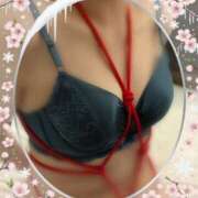 ヒメ日記 2026/01/08 01:29 投稿 中本 麗子 こあくまな熟女たち小倉店（KOAKUMAグループ）