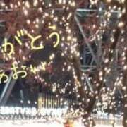 ヒメ日記 2024/12/18 21:15 投稿 高瀬 あおい こあくまな熟女たち 鶯谷・日暮里店(KOAKUMAグループ)