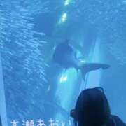 ヒメ日記 2024/12/31 12:45 投稿 高瀬 あおい こあくまな熟女たち 上野・御徒町店 (KOAKUMAグループ)