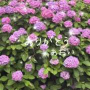 ヒメ日記 2025/06/20 15:54 投稿 高瀬 あおい こあくまな熟女たち 上野・御徒町店 (KOAKUMAグループ)