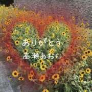 ヒメ日記 2025/08/27 09:51 投稿 高瀬 あおい こあくまな熟女たち 上野・御徒町店 (KOAKUMAグループ)