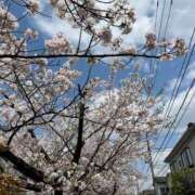 ヒメ日記 2025/04/08 11:07 投稿 すみれ 横浜回春性感マッサージ倶楽部