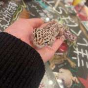 ヒメ日記 2024/12/08 16:57 投稿 かなめ スピード日本橋店