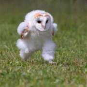 ヒメ日記 2025/03/17 17:27 投稿 かなめ スピード日本橋店