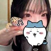 ヒメ日記 2025/03/19 21:27 投稿 かなめ スピード日本橋店