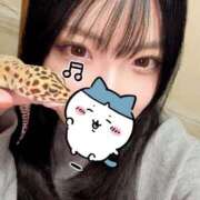 ヒメ日記 2025/04/04 21:47 投稿 かなめ スピード日本橋店