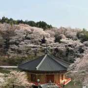 ヒメ日記 2025/04/09 16:09 投稿 かなめ スピード日本橋店