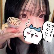 ヒメ日記 2025/04/16 00:07 投稿 かなめ スピード日本橋店