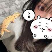 ヒメ日記 2025/04/23 15:17 投稿 かなめ スピード日本橋店