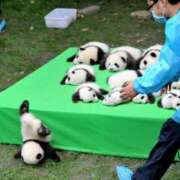 ヒメ日記 2025/04/28 22:17 投稿 かなめ スピード日本橋店