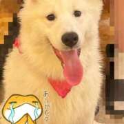 ヒメ日記 2025/05/03 16:27 投稿 かなめ スピード日本橋店