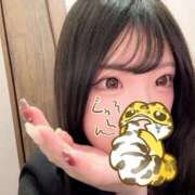 ヒメ日記 2025/05/09 16:57 投稿 かなめ スピード日本橋店