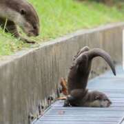 ヒメ日記 2025/05/12 20:37 投稿 かなめ スピード日本橋店