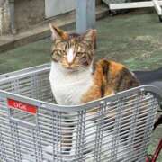 ヒメ日記 2025/05/13 20:27 投稿 かなめ スピード日本橋店