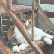 ヒメ日記 2025/06/22 18:10 投稿 かなめ スピード日本橋店