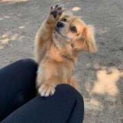 ヒメ日記 2025/06/25 09:07 投稿 かなめ スピード日本橋店