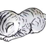 ヒメ日記 2025/07/15 11:47 投稿 かなめ スピード日本橋店