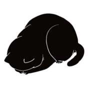 ヒメ日記 2025/10/14 21:57 投稿 かなめ スピード日本橋店