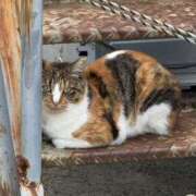 ヒメ日記 2025/10/23 22:17 投稿 かなめ スピード日本橋店