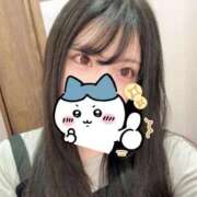 ヒメ日記 2025/11/09 18:07 投稿 かなめ スピード日本橋店