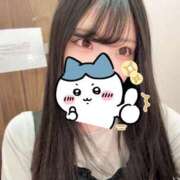 かなめ かなめ(スピード日本橋店) スピード日本橋店