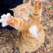 ヒメ日記 2025/12/15 04:37 投稿 かなめ スピード日本橋店