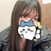 かなめ かなめ（スピード日本橋店） スピード日本橋店