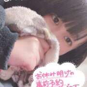 ヒメ日記 2025/04/19 03:57 投稿 ふう 群馬伊勢崎ちゃんこ