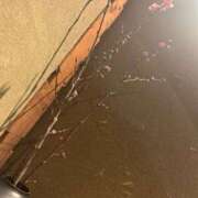 ミヒロ おはよう☀️ バニーコレクション新潟店