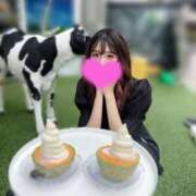 ヒメ日記 2025/03/15 15:03 投稿 八神 ゆい やみつきエステ 渋谷店