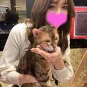 ヒメ日記 2025/05/11 23:31 投稿 八神 ゆい やみつきエステ 渋谷店