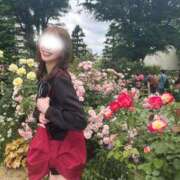 ヒメ日記 2025/09/17 20:05 投稿 八神 ゆい やみつきエステ 渋谷店