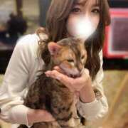 ヒメ日記 2025/10/27 17:11 投稿 八神 ゆい やみつきエステ 渋谷店