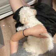 ヒメ日記 2025/09/02 17:42 投稿 えな 熟女の風俗最終章 池袋店