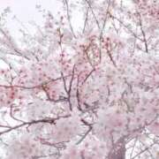 えな 13日(金) 12:00〜🩰🤍 熟女の風俗最終章 池袋店