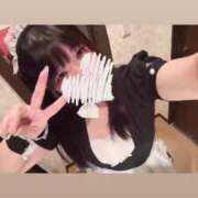 ヒメ日記 2025/08/29 20:08 投稿 メダイ　目鯛 女の子市場