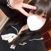 ヒメ日記 2025/11/25 11:38 投稿 メダイ　目鯛 女の子市場