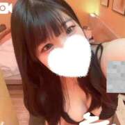 ヒメ日記 2025/11/26 11:28 投稿 メダイ　目鯛 女の子市場