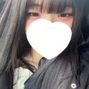 ヒメ日記 2025/12/23 11:38 投稿 メダイ　目鯛 女の子市場