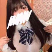 ヒメ日記 2026/04/07 11:38 投稿 メダイ　目鯛 女の子市場