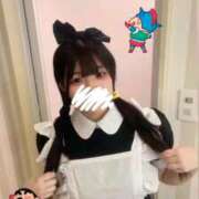 ヒメ日記 2026/04/07 20:28 投稿 メダイ　目鯛 女の子市場