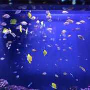 ヒメ日記 2025/02/11 16:02 投稿 まこ 出会い系人妻ネットワーク 五反田～品川編