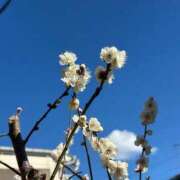 ヒメ日記 2025/02/25 16:58 投稿 まこ 出会い系人妻ネットワーク 五反田～品川編