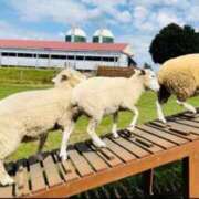 ヒメ日記 2025/03/06 01:03 投稿 まこ 出会い系人妻ネットワーク 五反田～品川編